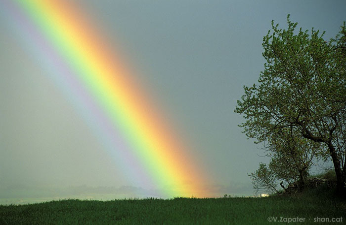 Arcoiris y lluvia primaveral cerca de Guissona. Lleida, Catalunya, España. Rainbow and spring rain near Guissona. Lleida, Catalonia, Spain.
