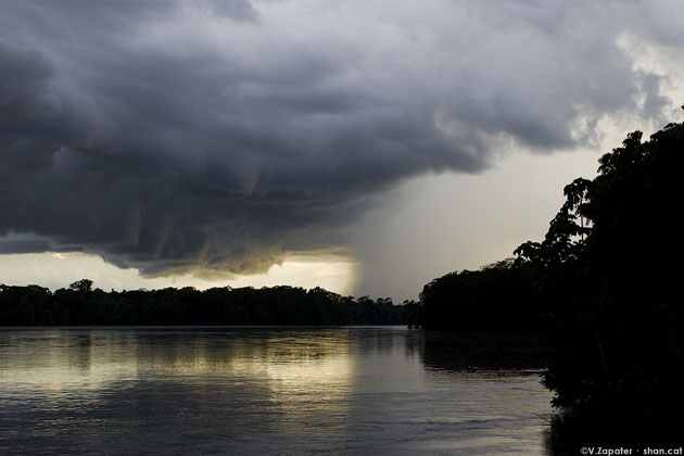 Tormenta y lluvia sobre el rio Aguarico, Cuyabeno, Ecuador. Storm cloud and rain over Amazonian Jungle, Cuyabeno, Ecuador