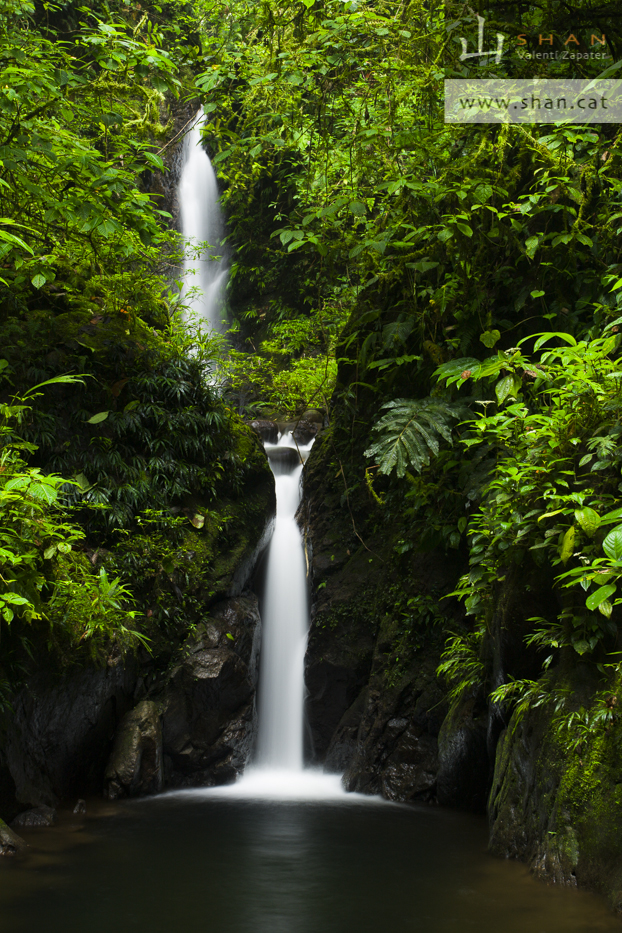 Río y cascada en la Reserva Itapoa. Esmeraldas, Ecuador. River and fall in Itapoa Reserve. Esmeraldas, Ecuador
